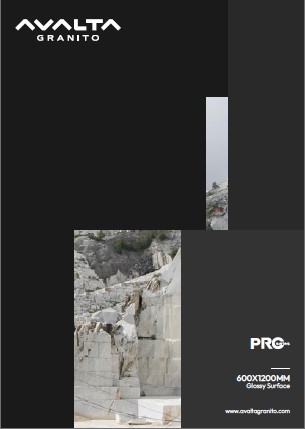 PDF Preview